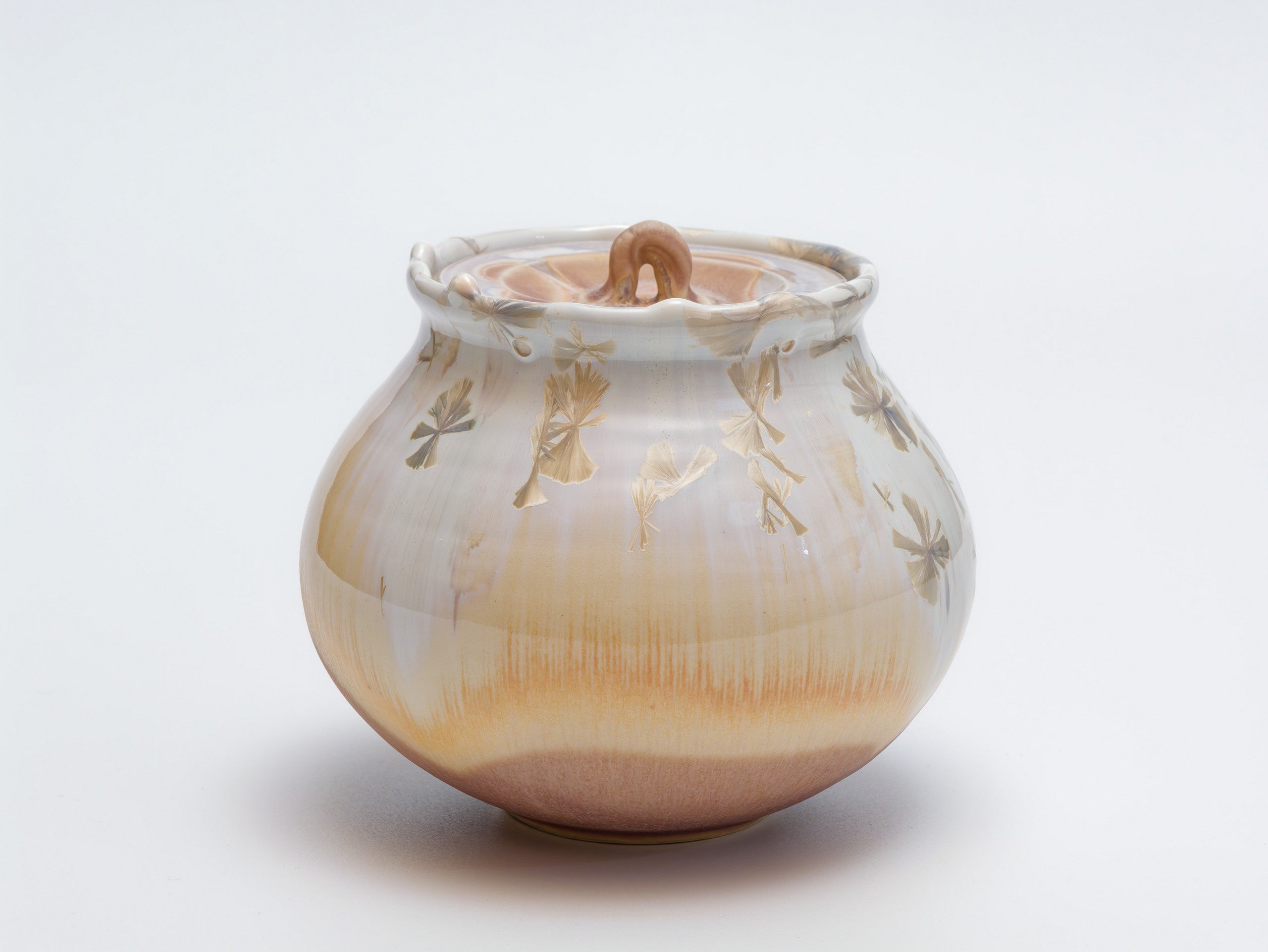 新着作品 – BloomJapan