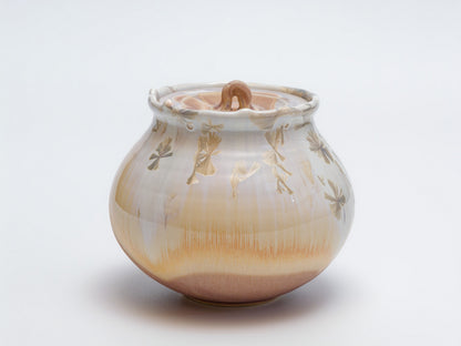 紫黄結晶水指｜青山鉄郎