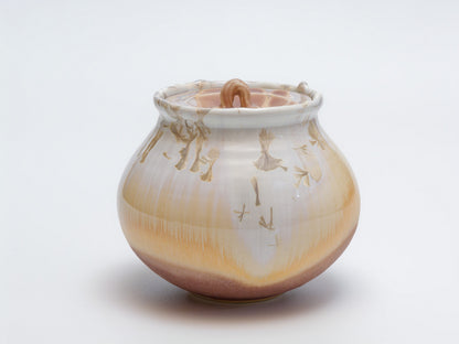 紫黄結晶水指｜青山鉄郎