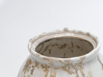 紫黄結晶水指｜青山鉄郎